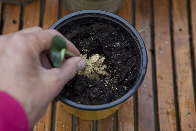 Close-up of person hand holding egg in container