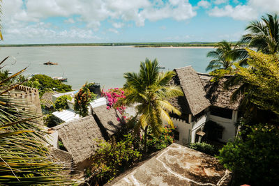 Aerial view of beach houses amidst palm trees at shela beach in lamu island, kenya
