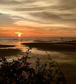 Scenic view of sea against orange sky