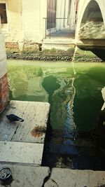 High angle view of wet footpath by lake in city