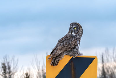 Watch out for that turn