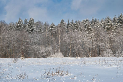 Scenic view of snow covered field against sky