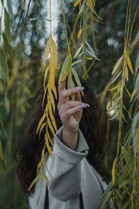 Close-up of person touching plant