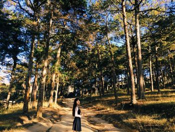 Road passing through forest