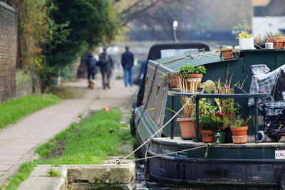 Close-up of people on potted plants in city