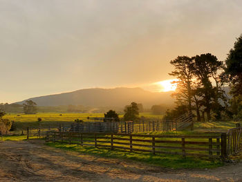 Scenic view of field against sky during sunset