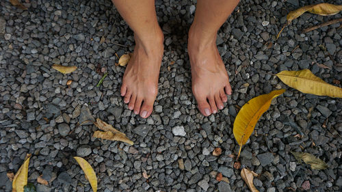 Low section of person standing on stones