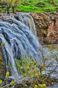 Scenic view of waterfall in forest