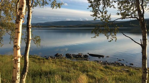 Scenic view of lake against sky