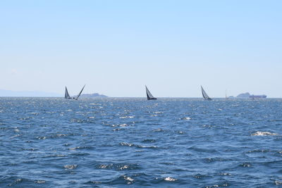 Sailboats in sea against clear sky