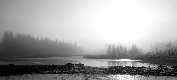 View of calm lake against trees in foggy weather