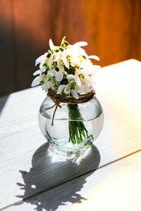 Bouquet of snowdrops in a glass vase with water. copy space for text. early spring flowers. holiday