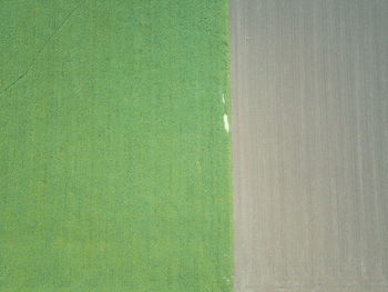 Full frame shot of green field
