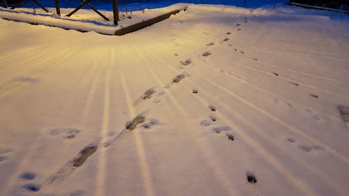 High angle view of footprints on sand