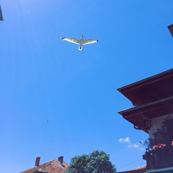 Low angle view of airplane flying in sky