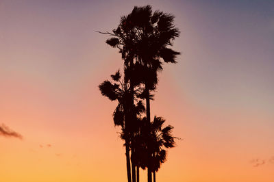 Silhouette palm tree against romantic sky at sunset