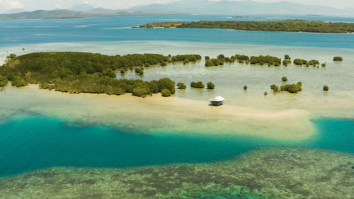 Mangrove trees on coral reef with sand bar surrounded by sea blue water. 