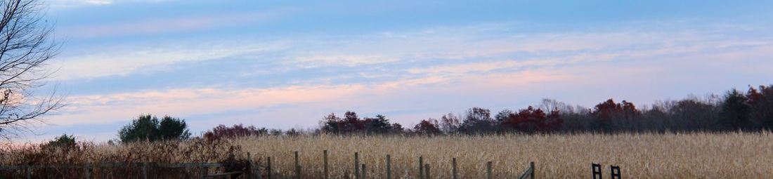 Panoramic view of field against sky