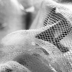 Close up of plant against blurred background