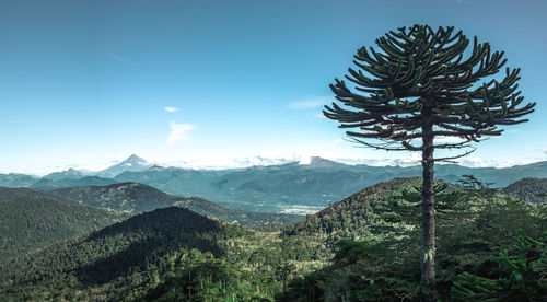 Scenic view of tree mountains against sky