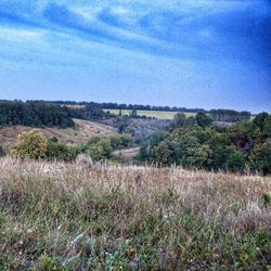 Scenic view of landscape against sky