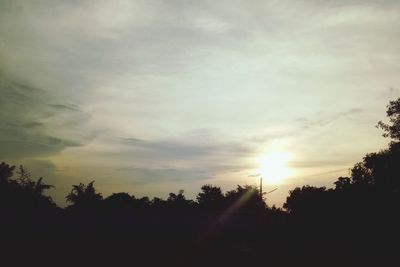 Silhouette trees on field against sky at sunset