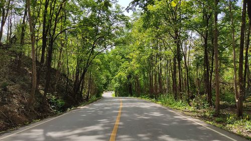 Natural route in the border area of tak during the rainy season.