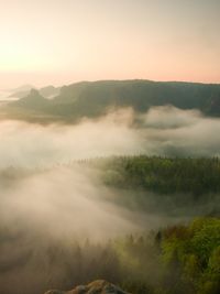 Misty melancholic morning. long deep valley full of fresh spring mist. fall  day after rainy night