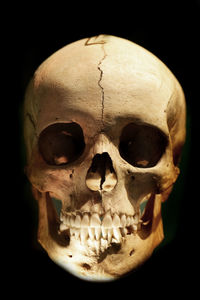 Close-up of human skull