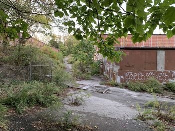 Road amidst trees and buildings against sky