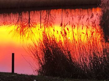 Scenic view of lake during sunset