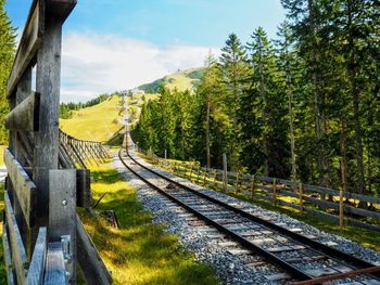 Railroad track amidst trees against sky