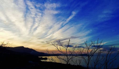 Silhouette plants on landscape against romantic sky at sunset