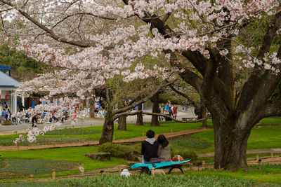 People relaxing in park