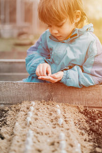 Spring planting seeding farm garden. little kid boy farmer gardener plants sow vegetable seeds soil