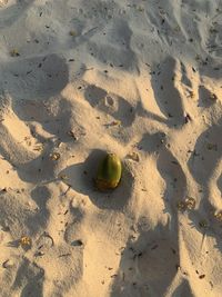 High angle view of footprints on sand