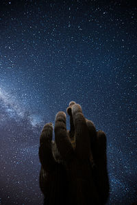 Low angle view of cactus against star field at night