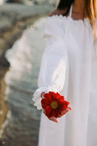 Midsection of woman holding flower