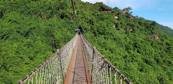 Panoramic shot of footbridge amidst trees