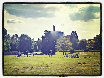 Trees on grassy field against cloudy sky