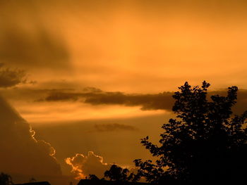 Silhouette trees against sky during sunset