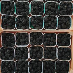 Full frame shot of blackberries in containers for sale at market