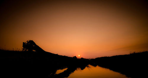 Silhouette of trees at sunset