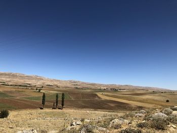 Scenic view of field against clear blue sky