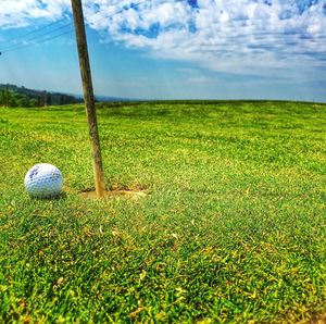 Scenic view of field against sky