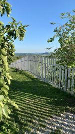 Scenic view of field against clear blue sky