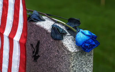 Close-up of flags against blue wall