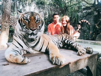 Portrait of cat sitting in zoo