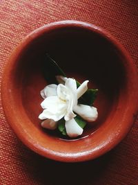 Close-up of white flowers