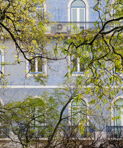 architecture